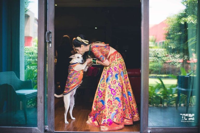 Bride-with-Pet-WeddingNama