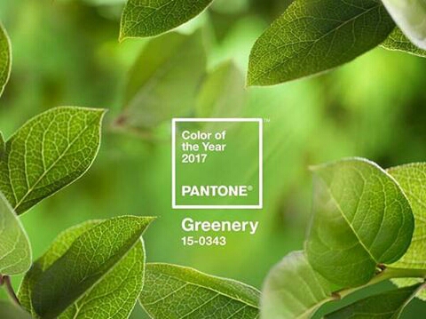 image 1 retrieved from @pantone