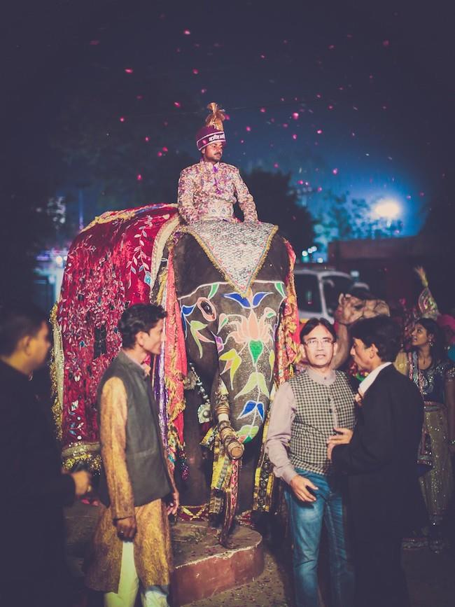 18aa indian wedding baraat elephant
