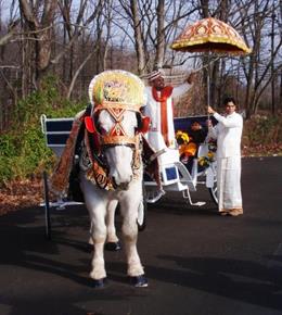 Horse and Carriage Rentals LLC 