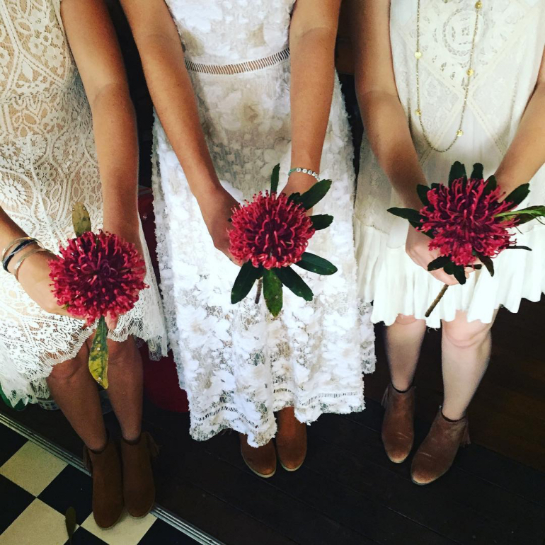 bellingenbespokeweddings bellingenbespokeweddings