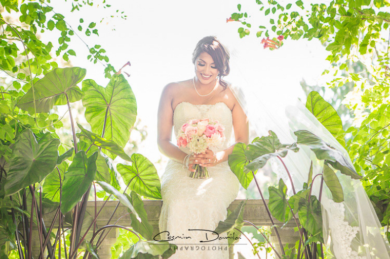 bride bride