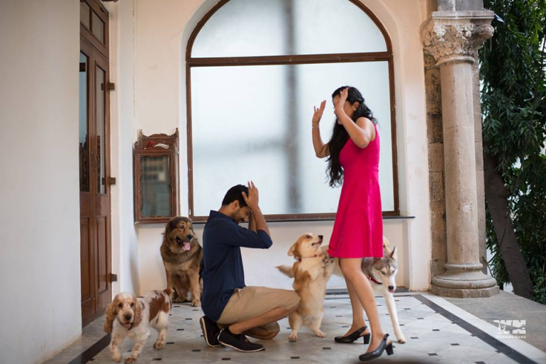 dogs wedding nama dogs wedding nama