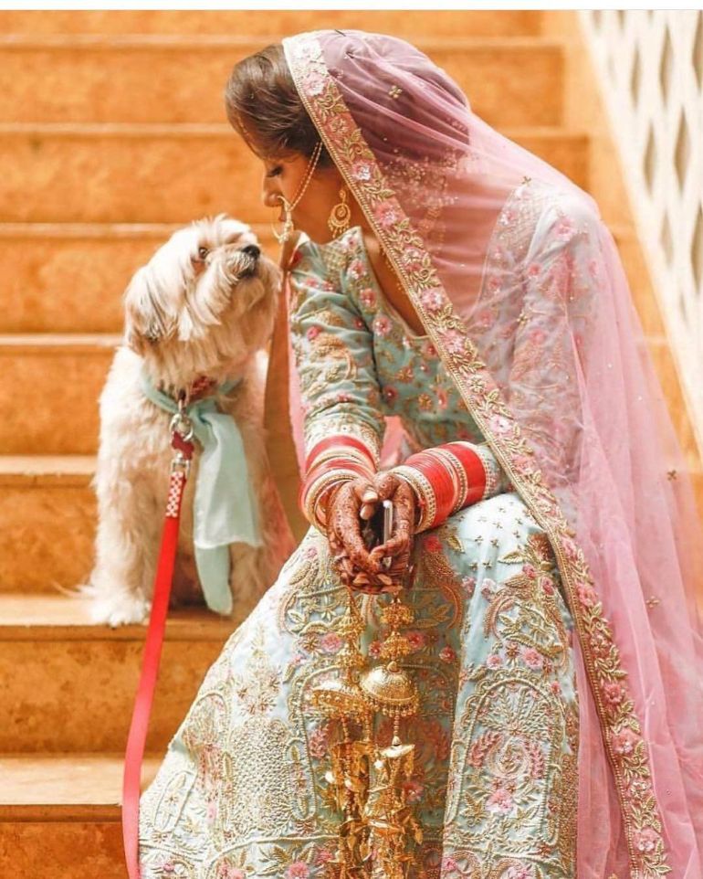 dog sherwani for wedding