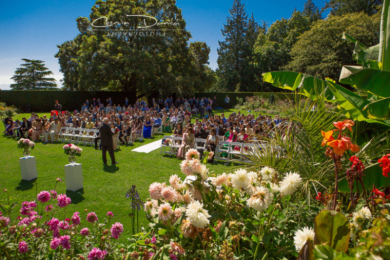 outdoor wedding