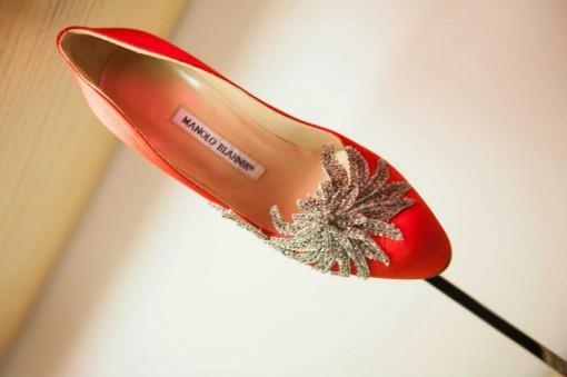 swan red