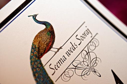 SeemaAndSoorajPhotographickStudios-1110